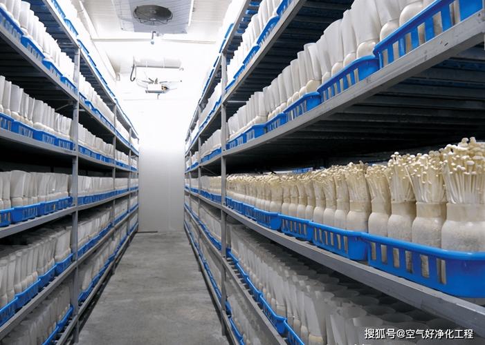 合肥食用菌工厂净化车间工程设计施工项目