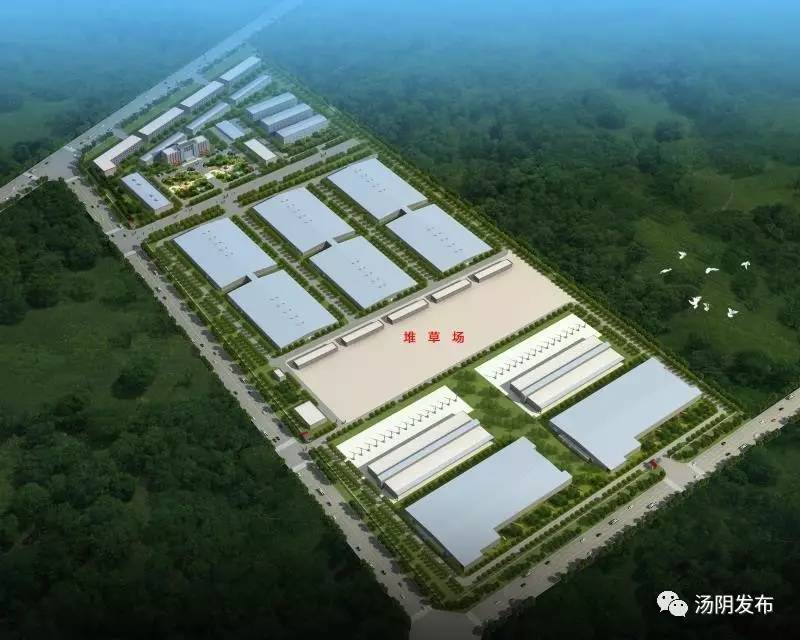 【砥砺奋进的五年】汤阴:众兴菌业 把蘑菇搬进工厂种植