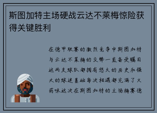 斯图加特主场硬战云达不莱梅惊险获得关键胜利