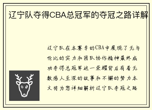 辽宁队夺得CBA总冠军的夺冠之路详解